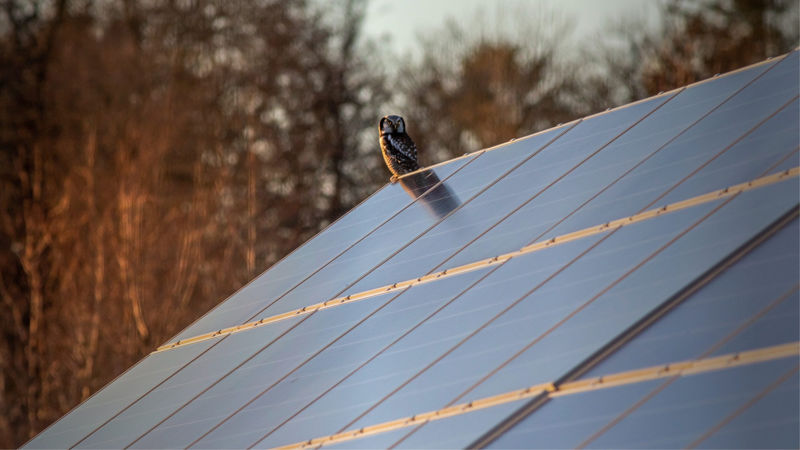 Renewable Energy Assessment Concept Pacifico